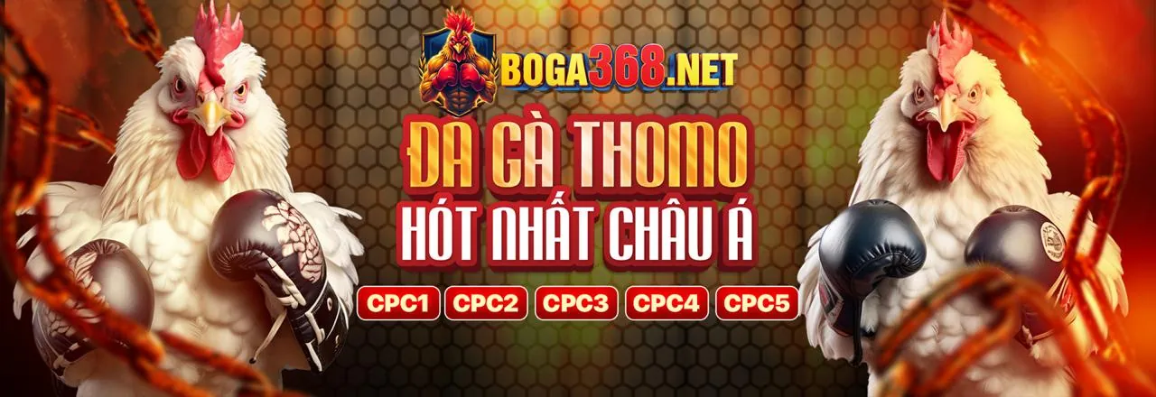 Hướng dẫn chơi game bắn cá Winbet, từ người mới đến cao thủ