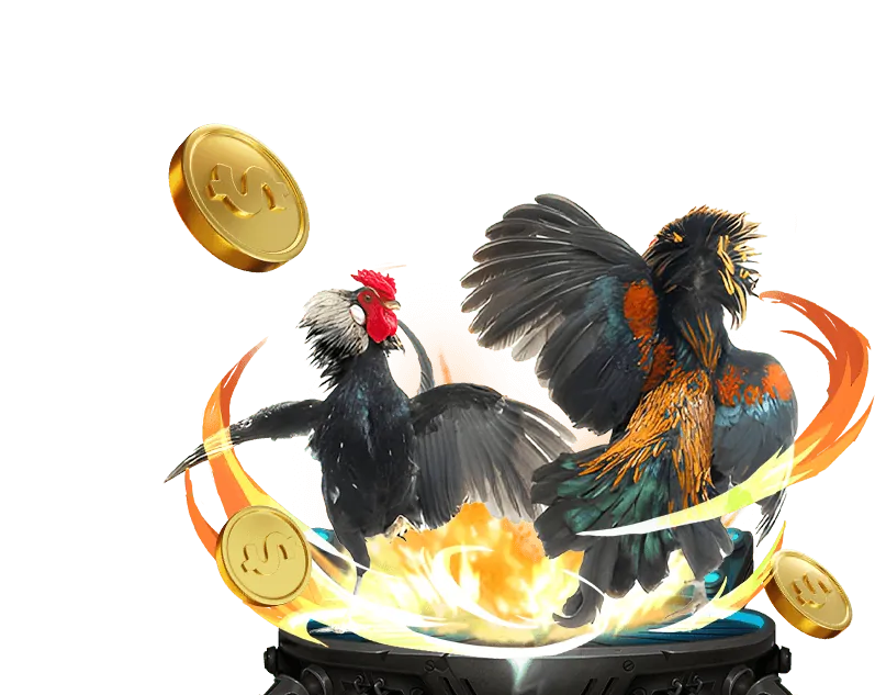 Tiền thưởng chào mừng Winbet